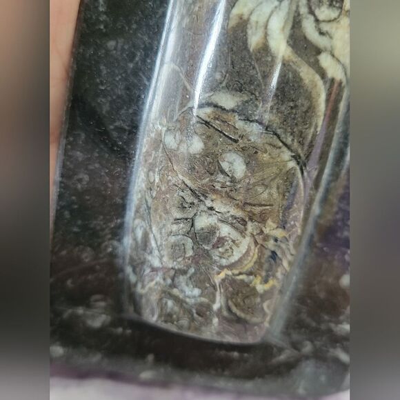 Orthoceras Fossils Self Standing - Picture 10 of 16